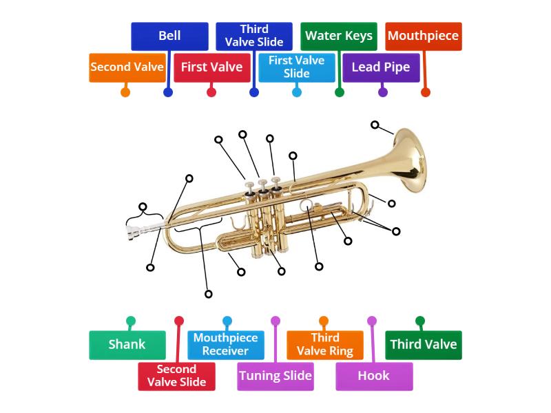 Trumpet Diagram Labelled diagram