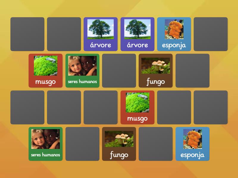 JOGO DA MEMÓRIA: SERES VIVOS - Combine os pares