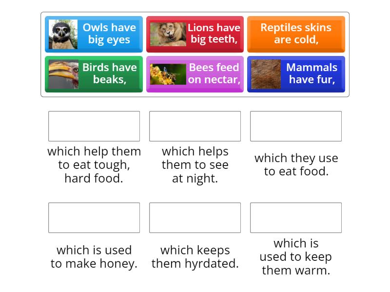 Connect sentences using 