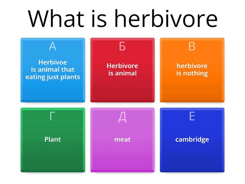 Herbivore Omnivore And Carnivore - Quiz