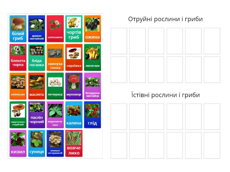 Отруйні і їстівні рослини і гриби - Group sort