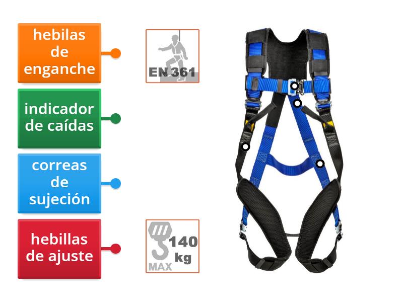 Partes del arnés - Diagrama con etiquetas