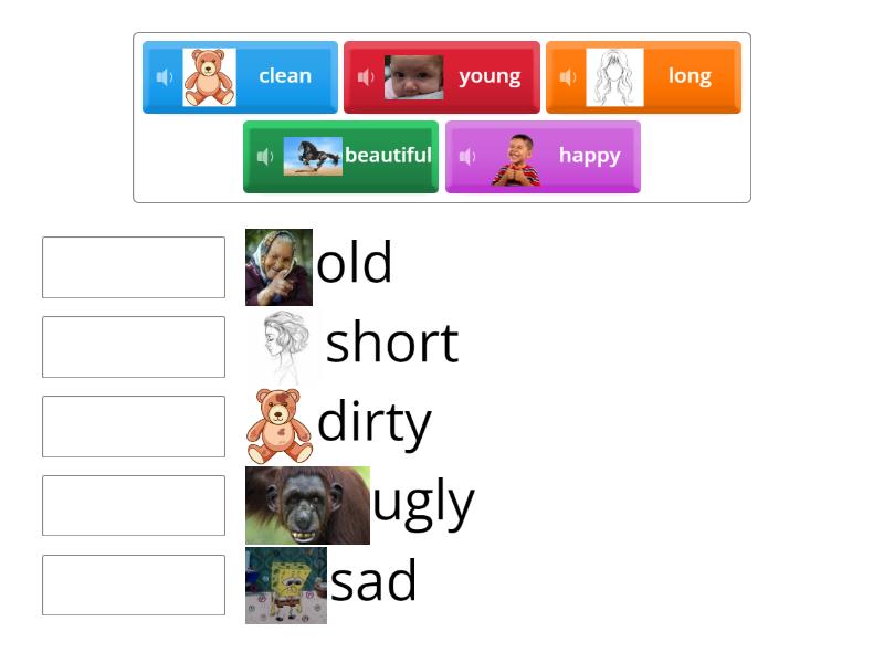 Opposites - Match up