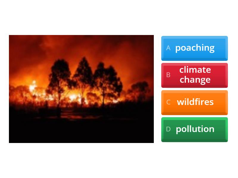 Threats to wildlife - Quiz