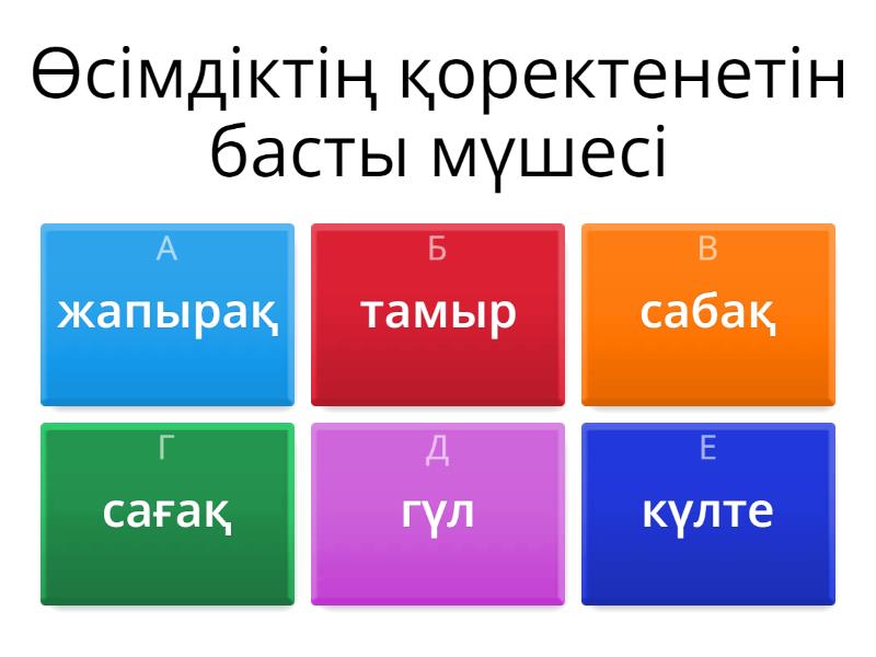 ?ОРЕКТЕНУ Ж?НЕ ТЫНЫС АЛУ - Викторина