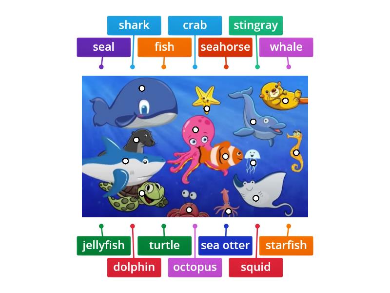 Sea Animals - Labelled diagram