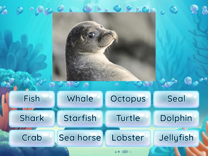 sea animals - Cada oveja con su pareja