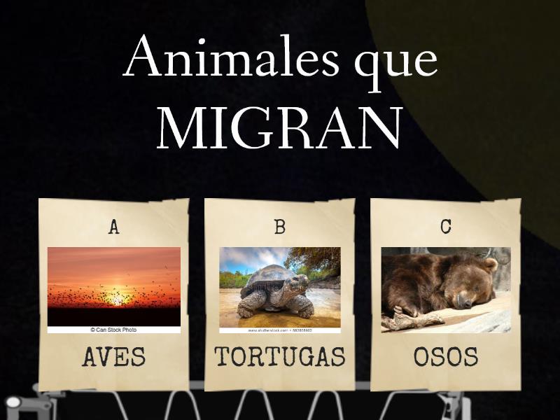 ANIMALES (MIGRAN-HIBERNAN) - Cuestionario