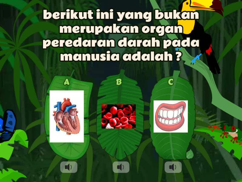 Pilihlah Jawaban Yang Paling Benar! - Quiz