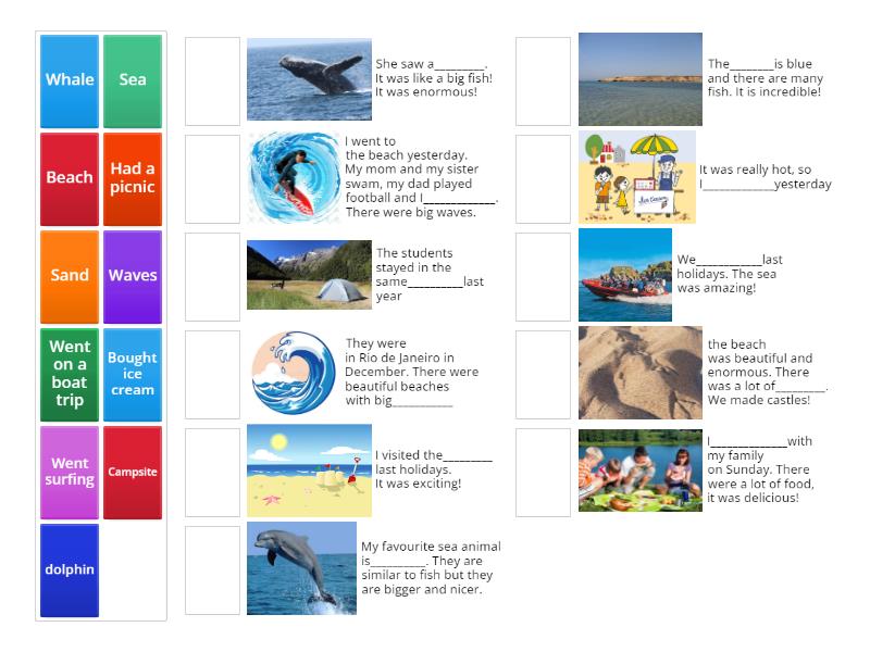 Match The Correct Word Match Up
