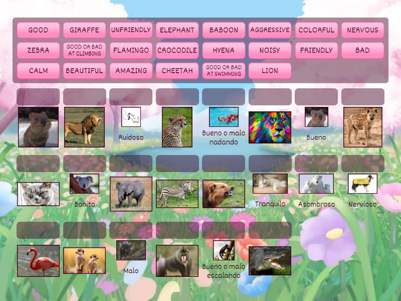 PATI, VOC. WILD ANIMALS AND ADJECTIFS UNIT 5. - Match up