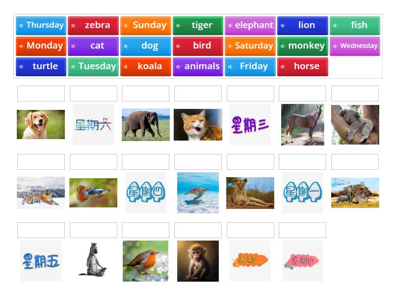 Days of the Week / Animals (p.95) - Match up