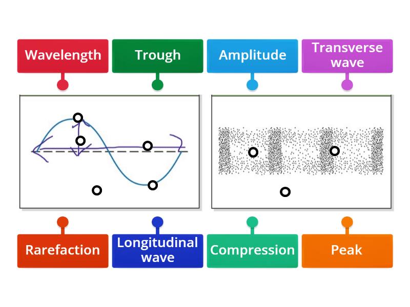 Waves Labelling Trans Long Diagrama Con Etiquetas