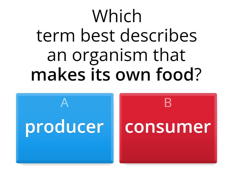 food-chains-quiz