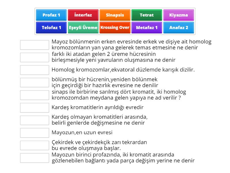 Biyoloji Proje - Match up