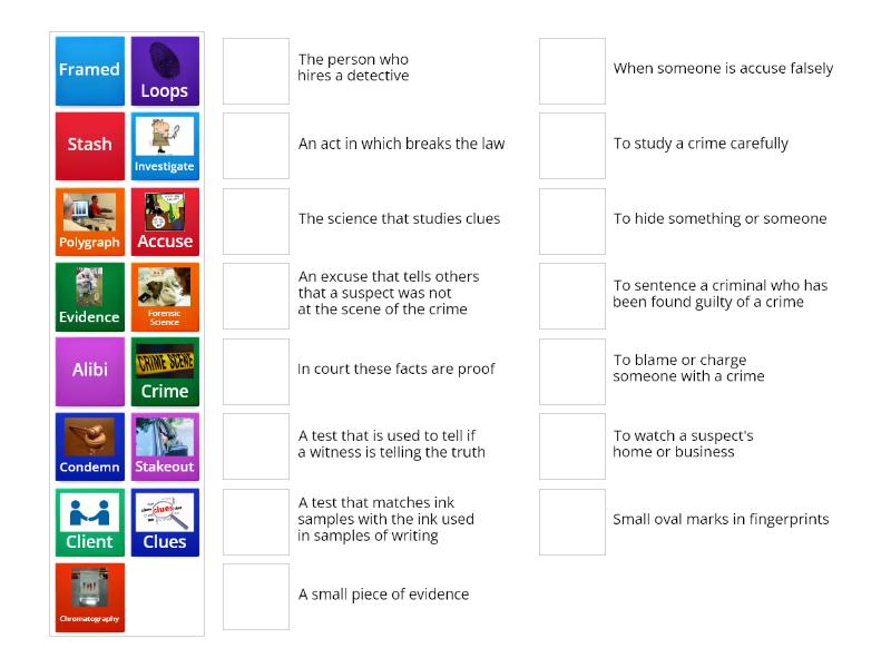 evidence-investigation-vocabulary-match-up