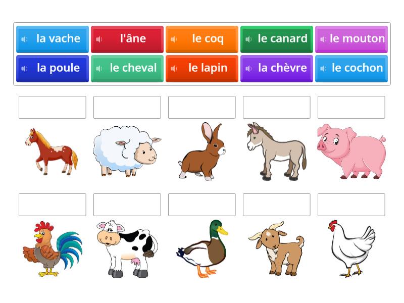 les animaux de la ferme - Match up