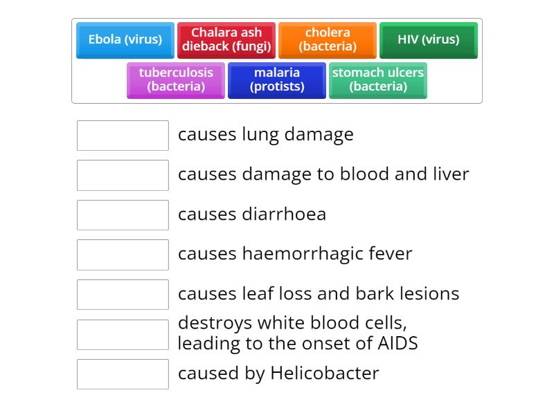 Edexcel - ﻿Describe some common infections (disease name & pathogen ...