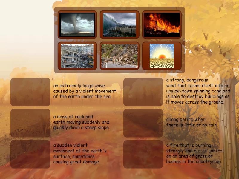 Disasters and Calamities - Match up
