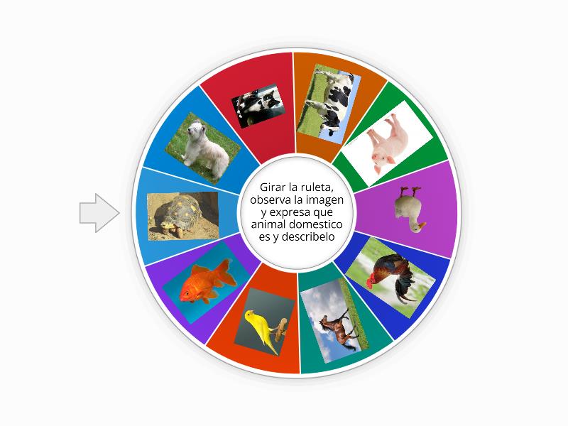 La ruleta de animales domésticos - Rueda aleatoria