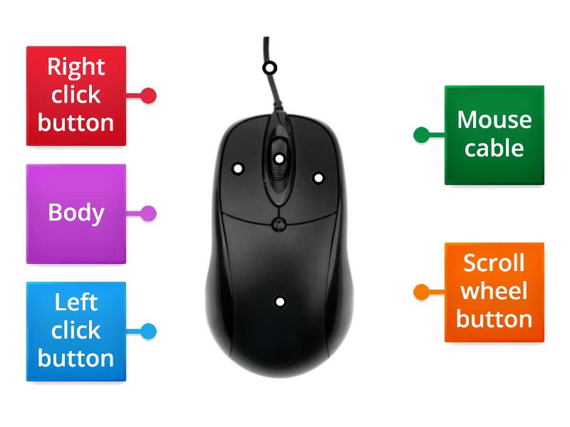 LABEL THE PARTS OF THE COMPUTER MOUSE. - Labelled diagram