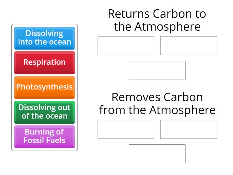 Carbon Cycle - Group sort