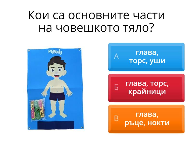 Човешкото тяло - 2 клас родинознание - Quiz