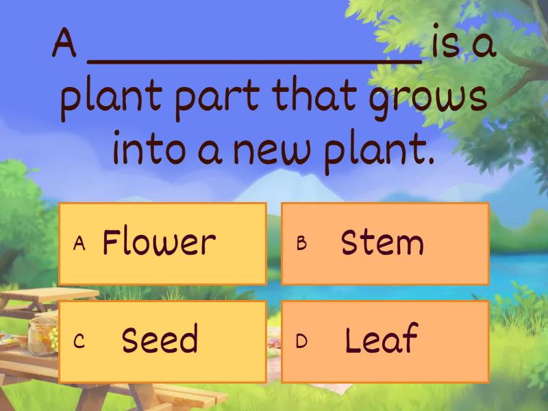 parts-of-a-seed-quiz