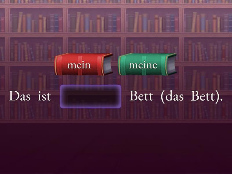 der oder das ⏩ MEIN ⚠️ die ⏩ MEINE Complete the sentence