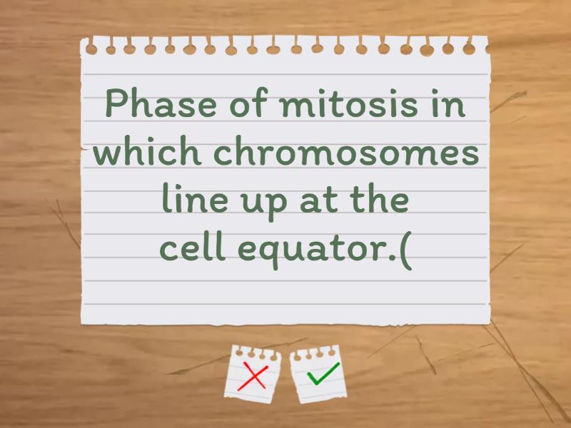 Mitosis Vocabulary - Flash cards