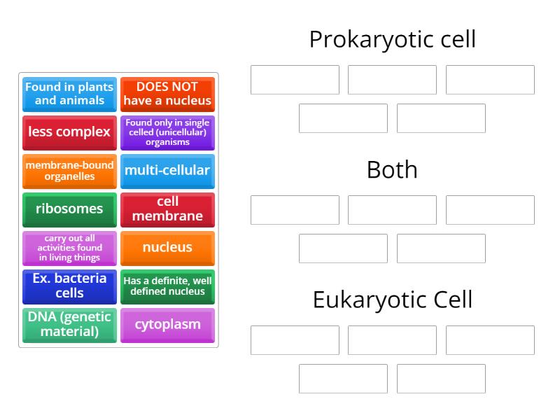 what do all cells have in common both prokaryotic and eukaryotic