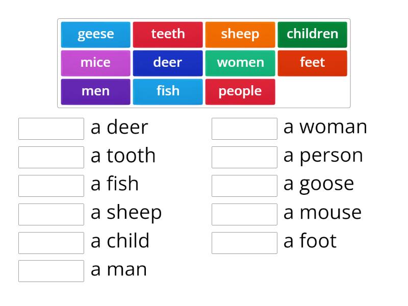 Irregular Plurals - Match up