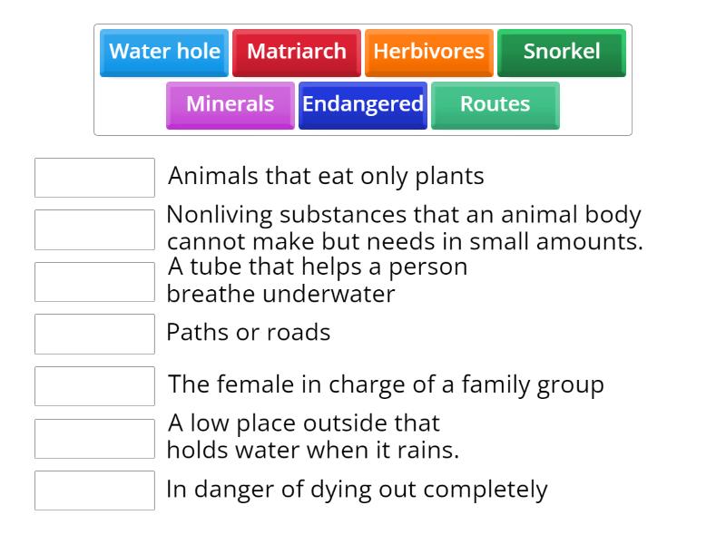Raz Kids Level 3.5 Week 1 Day 2 Match up