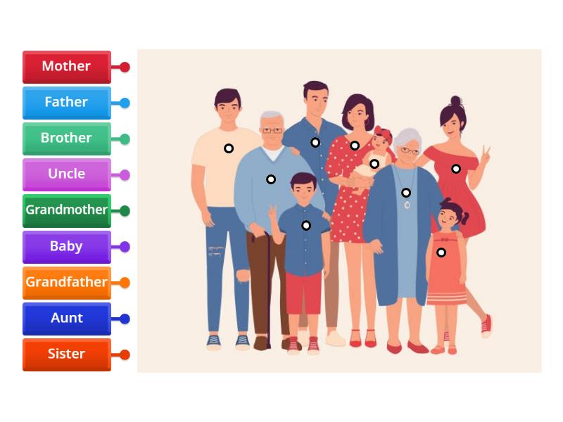 Family Revision - Labelled diagram