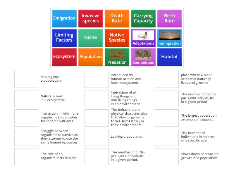 Populations and Interactions - Match up