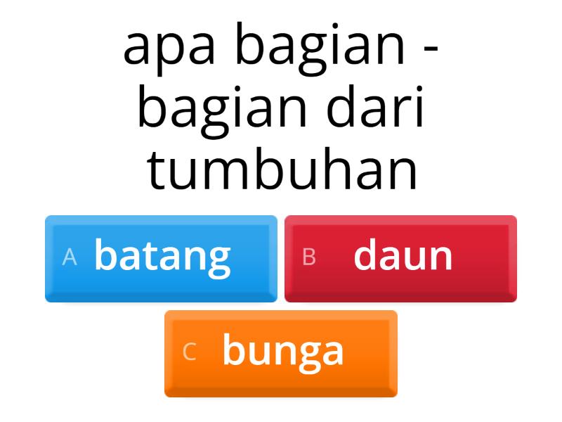 Bagian - Bagian Tumbuhan - Quiz