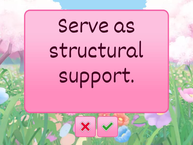 Biomolecules Functions Flash cards