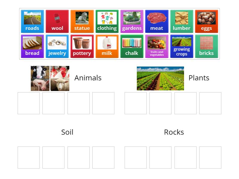 what-is-it-made-from-grade-3-science-group-sort