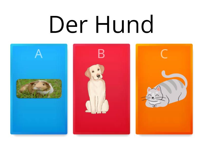 Die Tiere - Quiz