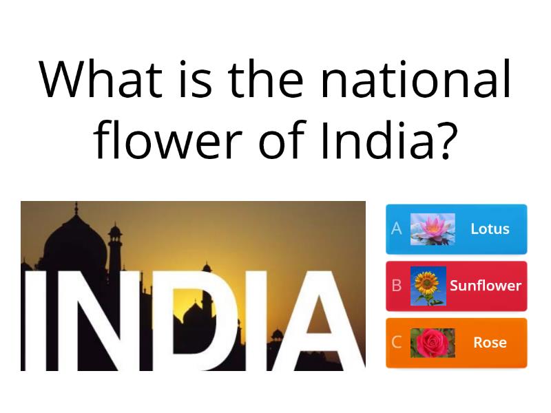 our-country-quiz