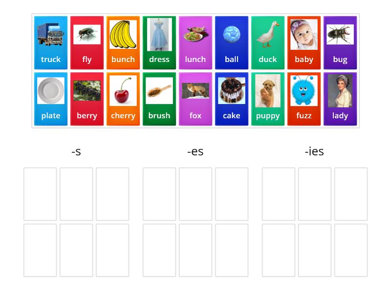 Plural Noun Suffix -s , -es ,ies - Group sort