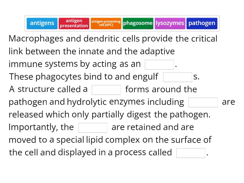 Antigen presenting cells Complete the sentence