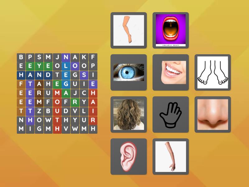 Body Parts Wordsearch - Sopa de letras