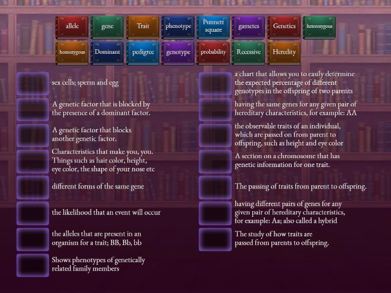 -Inheritance Terms - Match up
