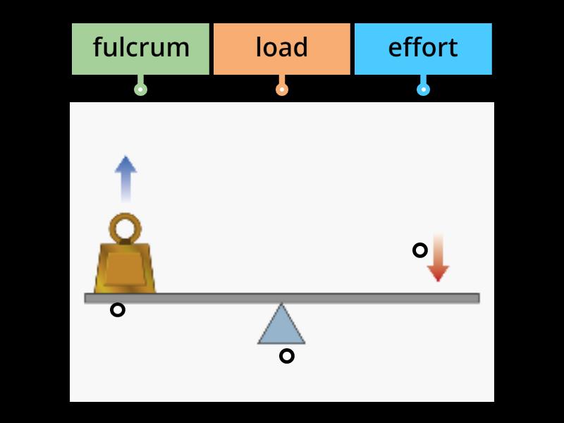 Label a lever - Labelled diagram