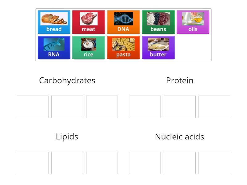Biomolecules - Group sort