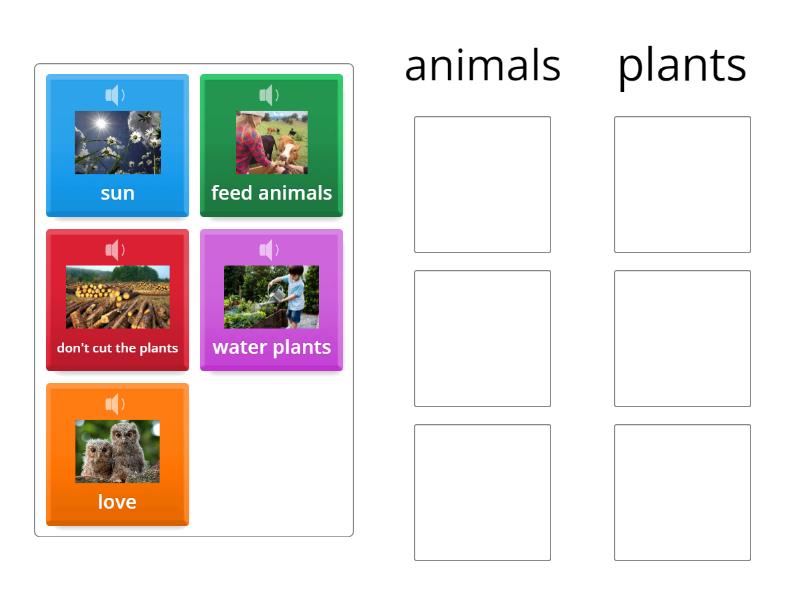 how humans can take care of plants and animals