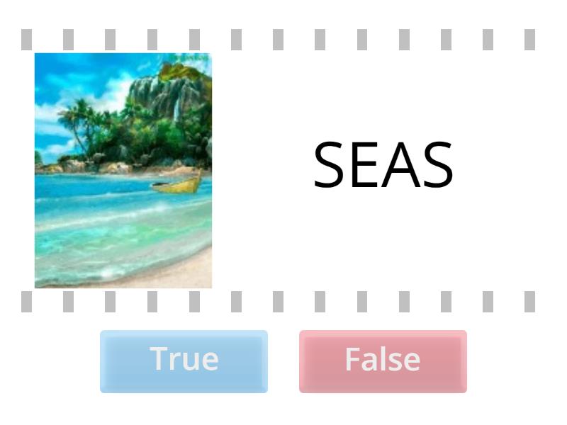 SELECT THE WORDS YOU HEARD IN THE RHYME. - True or false
