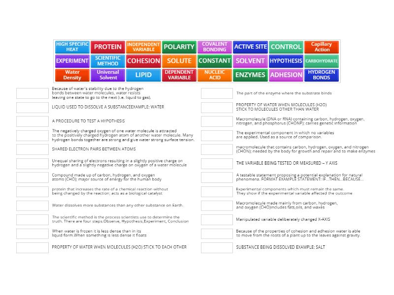 UNIT 1 VOCABULARY REVIEW - Match Up