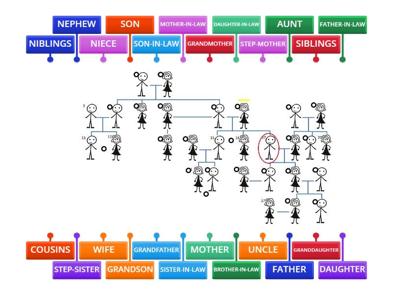 FAMILY TREE level 2 - Labelled diagram